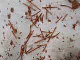 G. Sias, Scenari possibili della clinica